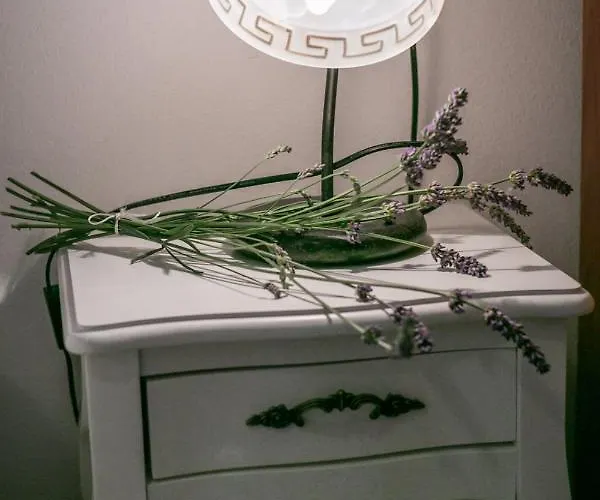 Confort Exclusive 3*